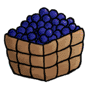 Blueberries